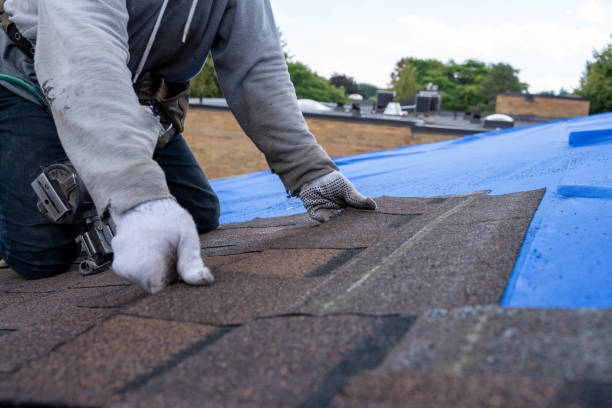 Roof Gutter Cleaning in New Deal, TX