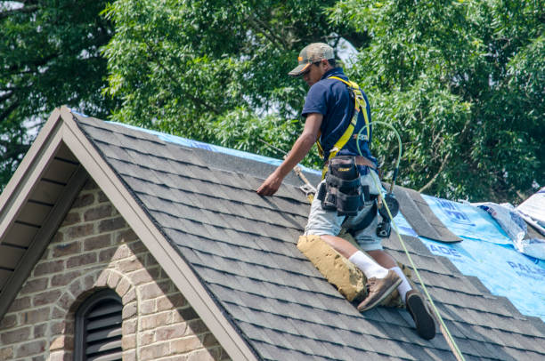 Best Roof Restoration Services  in New Deal, TX